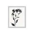 Picture of Black flower II (Ink border black ) _GroupedProduct_Rectangle_Portrait_Framed_Matted_