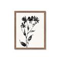 Picture of Black flower II (Ink border black ) _GroupedProduct_Rectangle_Portrait_Framed_Matted_