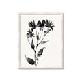 Picture of Black flower II (Ink border black ) _GroupedProduct_Rectangle_Portrait_Framed_Matted_
