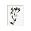 Picture of Black flower II (Ink border black ) _GroupedProduct_Rectangle_Portrait_Framed_Matted_