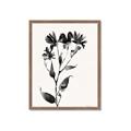 Picture of Black flower II (Ink border black ) _GroupedProduct_Rectangle_Portrait_Framed_Matted_