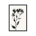 Picture of Black flower II (Ink border black ) _GroupedProduct_Rectangle_Portrait_Framed_Matted_