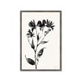 Picture of Black flower II (Ink border black ) _GroupedProduct_Rectangle_Portrait_Framed_Matted_