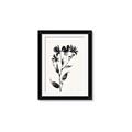 Picture of Black flower II (Ink border black ) _GroupedProduct_Rectangle_Portrait_Framed_Matted_