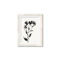 Picture of Black flower II (Ink border black ) _GroupedProduct_Rectangle_Portrait_Framed_Matted_