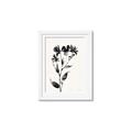 Picture of Black flower II (Ink border black ) _GroupedProduct_Rectangle_Portrait_Framed_Matted_