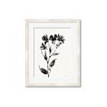 Picture of Black flower II (Ink border black ) _GroupedProduct_Rectangle_Portrait_Framed_Matted_