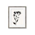 Picture of Black flower II (Ink border black ) _GroupedProduct_Rectangle_Portrait_Framed_Matted_