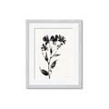 Picture of Black flower II (Ink border black ) _GroupedProduct_Rectangle_Portrait_Framed_Matted_