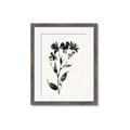 Picture of Black flower II (Ink border black ) _GroupedProduct_Rectangle_Portrait_Framed_Matted_