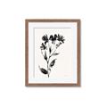 Picture of Black flower II (Ink border black ) _GroupedProduct_Rectangle_Portrait_Framed_Matted_