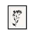 Picture of Black flower II (Ink border black ) _GroupedProduct_Rectangle_Portrait_Framed_Matted_