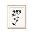 Picture of Black flower II (Ink border black ) _GroupedProduct_Rectangle_Portrait_Framed_Matted_