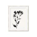 Picture of Black flower II (Ink border black ) _GroupedProduct_Rectangle_Portrait_Framed_Matted_