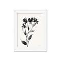 Picture of Black flower II (Ink border black ) _GroupedProduct_Rectangle_Portrait_Framed_Matted_
