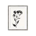 Picture of Black flower II (Ink border black ) _GroupedProduct_Rectangle_Portrait_Framed_Matted_