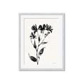 Picture of Black flower II (Ink border black ) _GroupedProduct_Rectangle_Portrait_Framed_Matted_