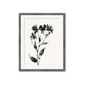 Picture of Black flower II (Ink border black ) _GroupedProduct_Rectangle_Portrait_Framed_Matted_
