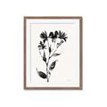 Picture of Black flower II (Ink border black ) _GroupedProduct_Rectangle_Portrait_Framed_Matted_
