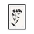 Picture of Black flower II (Ink border black ) _GroupedProduct_Rectangle_Portrait_Framed_Matted_