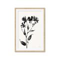 Picture of Black flower II (Ink border black ) _GroupedProduct_Rectangle_Portrait_Framed_Matted_