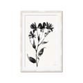Picture of Black flower II (Ink border black ) _GroupedProduct_Rectangle_Portrait_Framed_Matted_