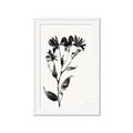 Picture of Black flower II (Ink border black ) _GroupedProduct_Rectangle_Portrait_Framed_Matted_