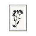 Picture of Black flower II (Ink border black ) _GroupedProduct_Rectangle_Portrait_Framed_Matted_