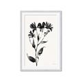 Picture of Black flower II (Ink border black ) _GroupedProduct_Rectangle_Portrait_Framed_Matted_