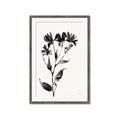 Picture of Black flower II (Ink border black ) _GroupedProduct_Rectangle_Portrait_Framed_Matted_