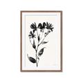Picture of Black flower II (Ink border black ) _GroupedProduct_Rectangle_Portrait_Framed_Matted_