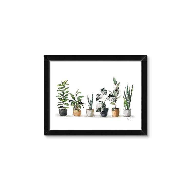 Picture of Pots with plants _GroupedProduct_Rectangle_Landscape_Framed_Matted_