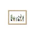 Picture of Pots with plants _GroupedProduct_Rectangle_Landscape_Framed_Matted_