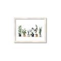 Picture of Pots with plants _GroupedProduct_Rectangle_Landscape_Framed_Matted_