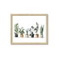 Picture of Pots with plants _GroupedProduct_Rectangle_Landscape_Framed_Matted_
