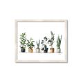 Picture of Pots with plants _GroupedProduct_Rectangle_Landscape_Framed_Matted_