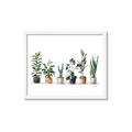 Picture of Pots with plants _GroupedProduct_Rectangle_Landscape_Framed_Matted_