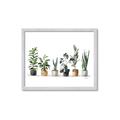 Picture of Pots with plants _GroupedProduct_Rectangle_Landscape_Framed_Matted_