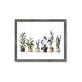 Picture of Pots with plants _GroupedProduct_Rectangle_Landscape_Framed_Matted_