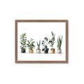 Picture of Pots with plants _GroupedProduct_Rectangle_Landscape_Framed_Matted_