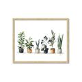 Picture of Pots with plants _GroupedProduct_Rectangle_Landscape_Framed_Matted_