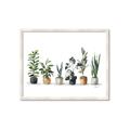 Picture of Pots with plants _GroupedProduct_Rectangle_Landscape_Framed_Matted_