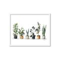 Picture of Pots with plants _GroupedProduct_Rectangle_Landscape_Framed_Matted_