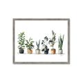 Picture of Pots with plants _GroupedProduct_Rectangle_Landscape_Framed_Matted_