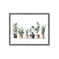 Picture of Pots with plants _GroupedProduct_Rectangle_Landscape_Framed_Matted_