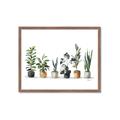 Picture of Pots with plants _GroupedProduct_Rectangle_Landscape_Framed_Matted_