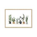 Picture of Pots with plants _GroupedProduct_Rectangle_Landscape_Framed_Matted_
