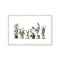 Picture of Pots with plants _GroupedProduct_Rectangle_Landscape_Framed_Matted_
