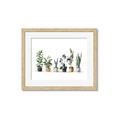 Picture of Pots with plants _GroupedProduct_Rectangle_Landscape_Framed_Matted_