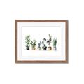 Picture of Pots with plants _GroupedProduct_Rectangle_Landscape_Framed_Matted_
